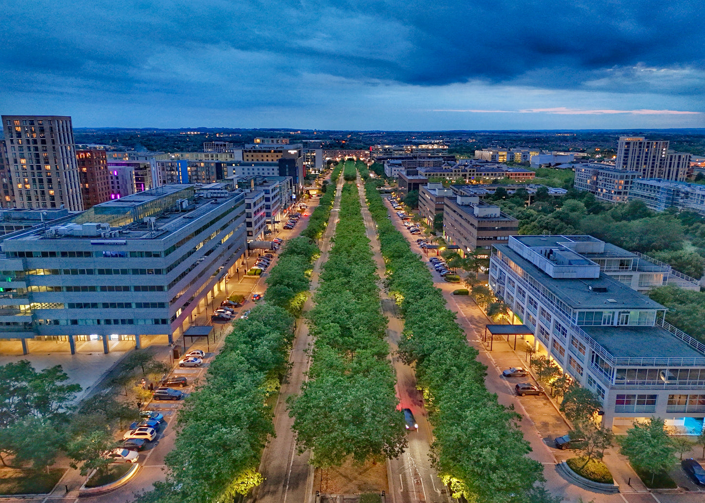 Midsummer Boulevard